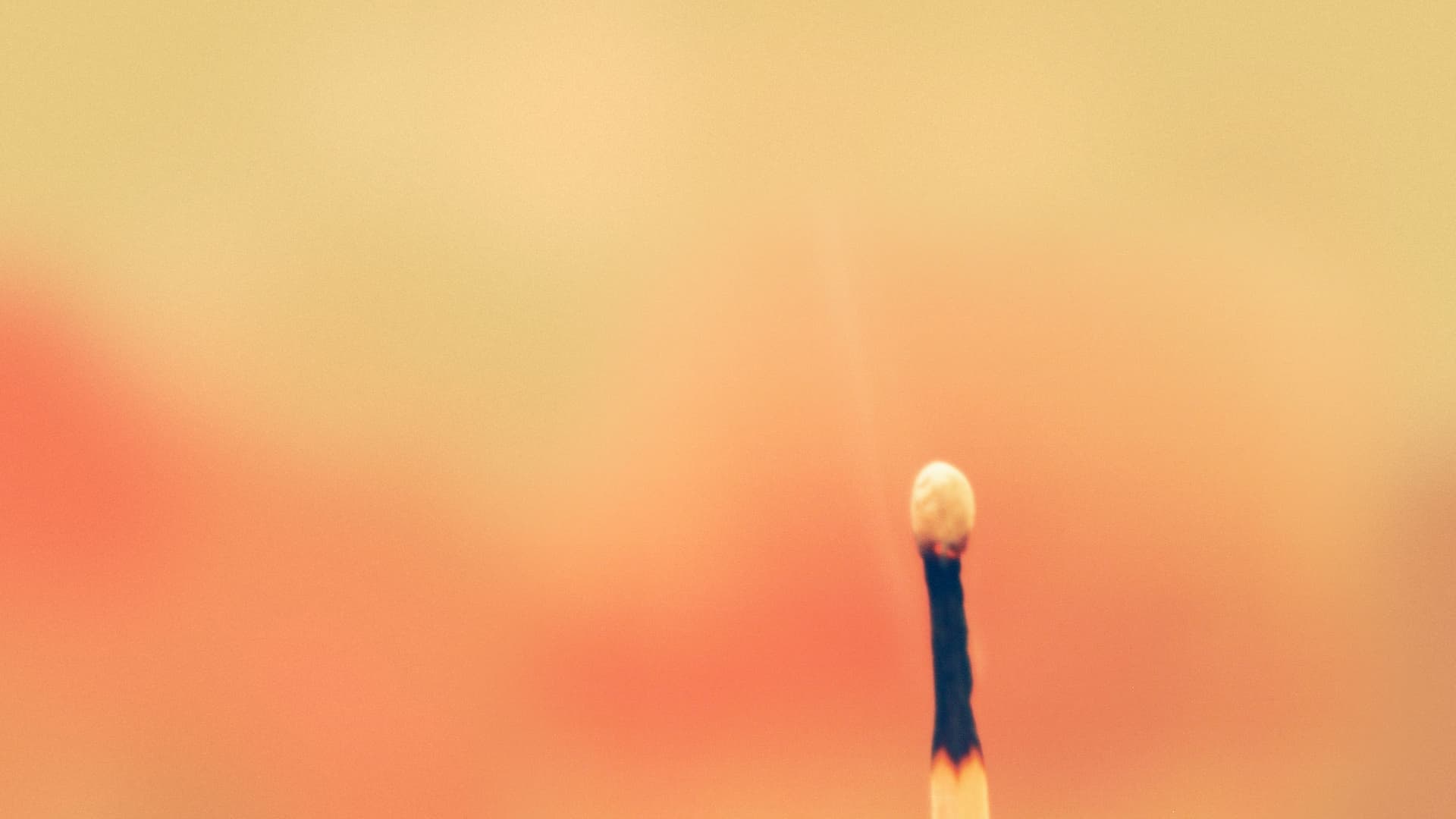 Burnout Coaching und Prävention
